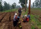 Anggota Koramil 2406/Kertasari melaksanakan komsos bersama masyarakat